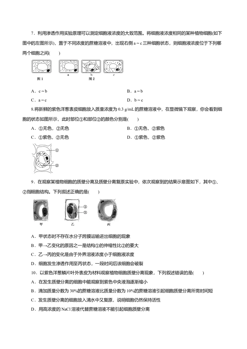 第04章细胞的物质输入和输出（A卷）（原卷版）_高中九科知识点归纳。_人教版高中Word电子版试卷练习试题知识点全科_高中生物试卷习题_生物必修_必修1_3.单元测试（第三套）