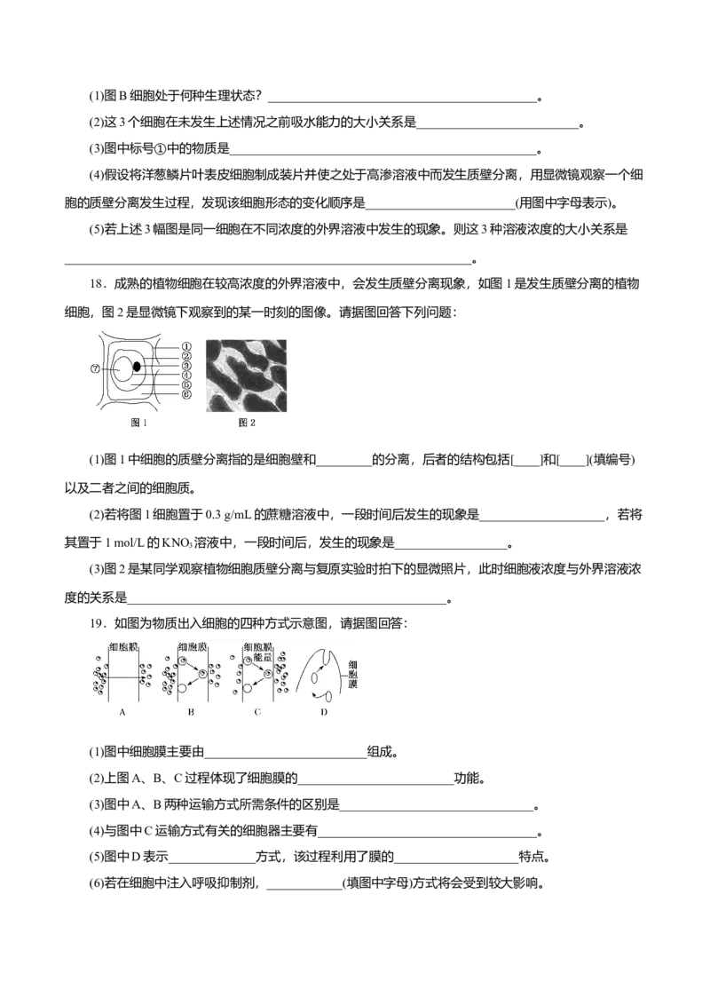 第04章细胞的物质输入和输出（A卷）（原卷版）_高中九科知识点归纳。_人教版高中Word电子版试卷练习试题知识点全科_高中生物试卷习题_生物必修_必修1_3.单元测试（第三套）