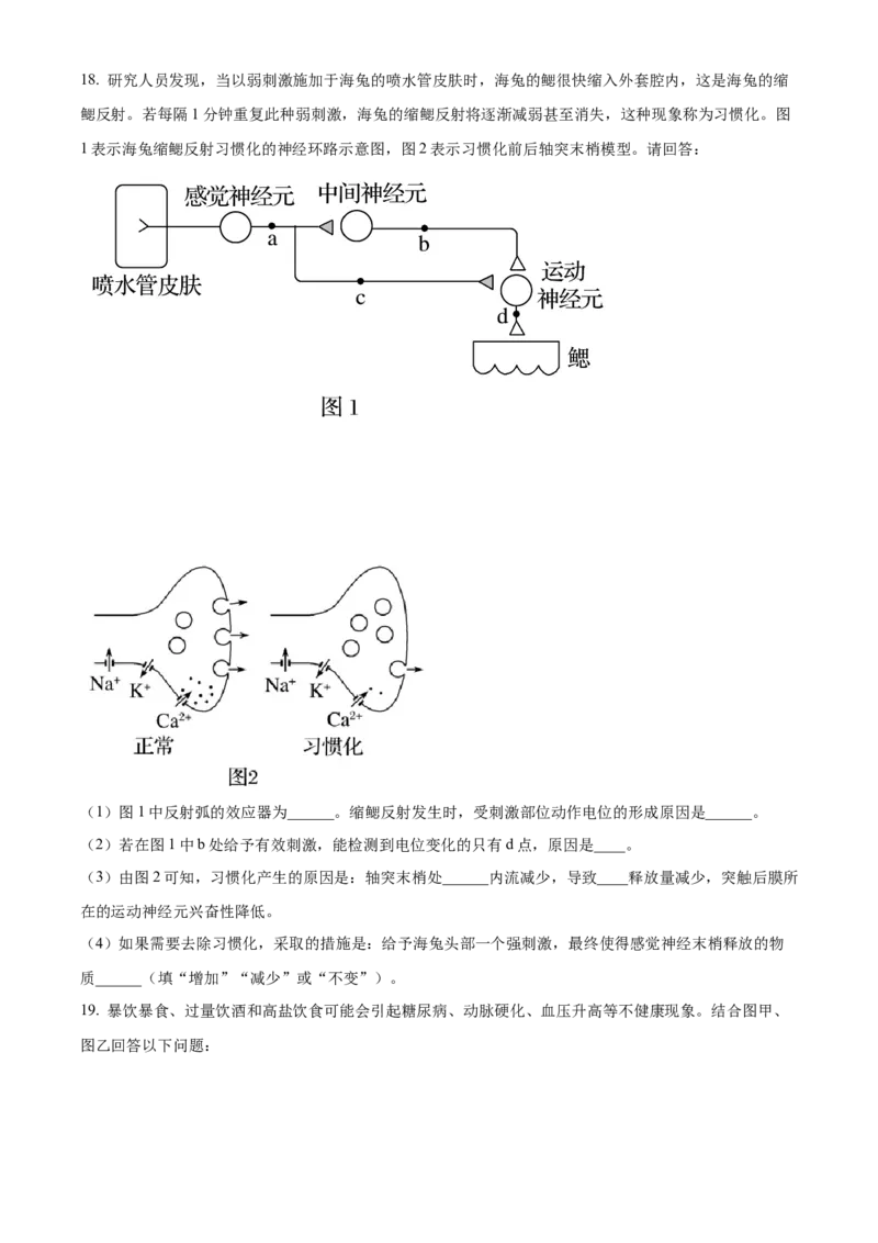 高二上学期期中生物试题（原卷版）_高中九科知识点归纳。_人教版高中Word电子版试卷练习试题知识点全科_高中生物试卷习题_生物选修_选修1_人教版生物选修一期中测试（012份）_79