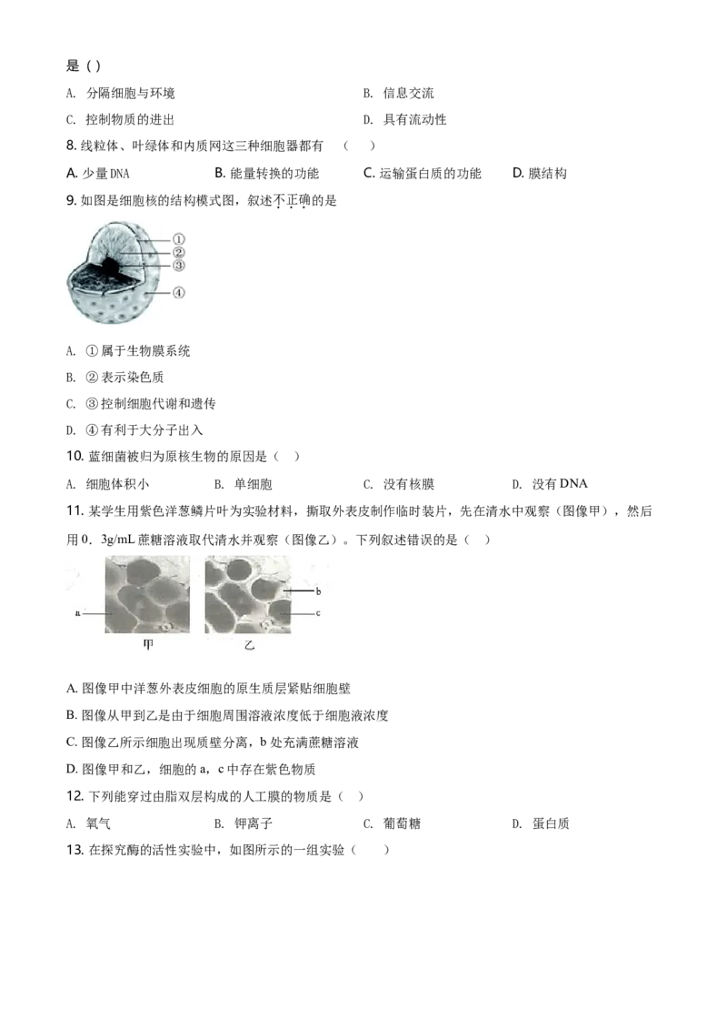 精品解析：北京市石景山2020-2021高一上学期期末生物试题（原卷版）_高中九科知识点归纳。_人教版高中Word电子版试卷练习试题知识点全科_高中生物试卷习题_生物必修_必修1_2.各地真题