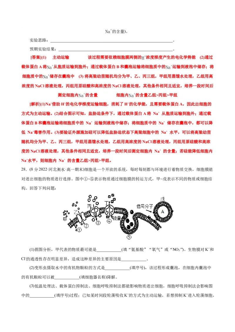 第4章细胞的物质输入和输出（B卷&middot;能力提升练）（解析版）_高中九科知识点归纳。_人教版高中Word电子版试卷练习试题知识点全科_高中生物试卷习题_生物必修_必修1