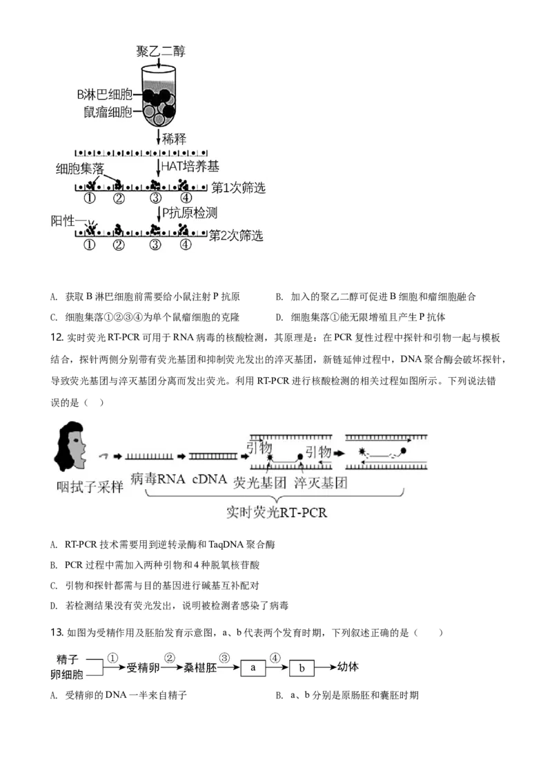 高二下学期期中生物试题（原卷版）_高中九科知识点归纳。_人教版高中Word电子版试卷练习试题知识点全科_高中生物试卷习题_生物选修_选修2_人教版生物选修二期中测试（006份）_496