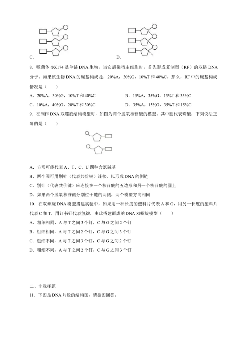 新教材精创3.2DNA的结构练习（2）（原卷版）_高中九科知识点归纳。_人教版高中Word电子版试卷练习试题知识点全科_高中生物试卷习题_生物必修_必修2_1、同步练习