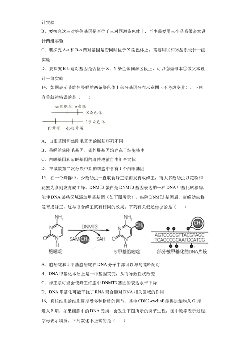 期末拔高卷1-冲刺期末高一生物下学期期末拔高冲刺卷（2019人教版）（原卷版）_高中九科知识点归纳。_人教版高中Word电子版试卷练习试题知识点全科_高中生物试卷习题_生物必修