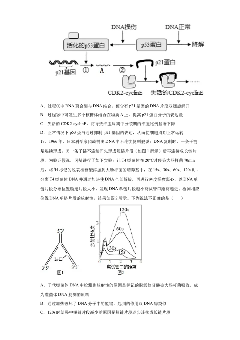 期末拔高卷1-冲刺期末高一生物下学期期末拔高冲刺卷（2019人教版）（原卷版）_高中九科知识点归纳。_人教版高中Word电子版试卷练习试题知识点全科_高中生物试卷习题_生物必修
