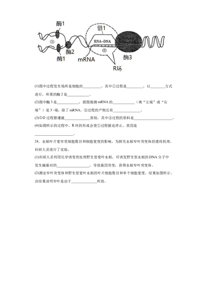 期末拔高卷1-冲刺期末高一生物下学期期末拔高冲刺卷（2019人教版）（原卷版）_高中九科知识点归纳。_人教版高中Word电子版试卷练习试题知识点全科_高中生物试卷习题_生物必修