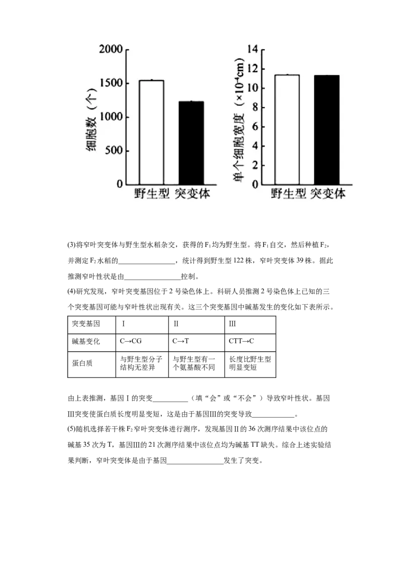期末拔高卷1-冲刺期末高一生物下学期期末拔高冲刺卷（2019人教版）（原卷版）_高中九科知识点归纳。_人教版高中Word电子版试卷练习试题知识点全科_高中生物试卷习题_生物必修