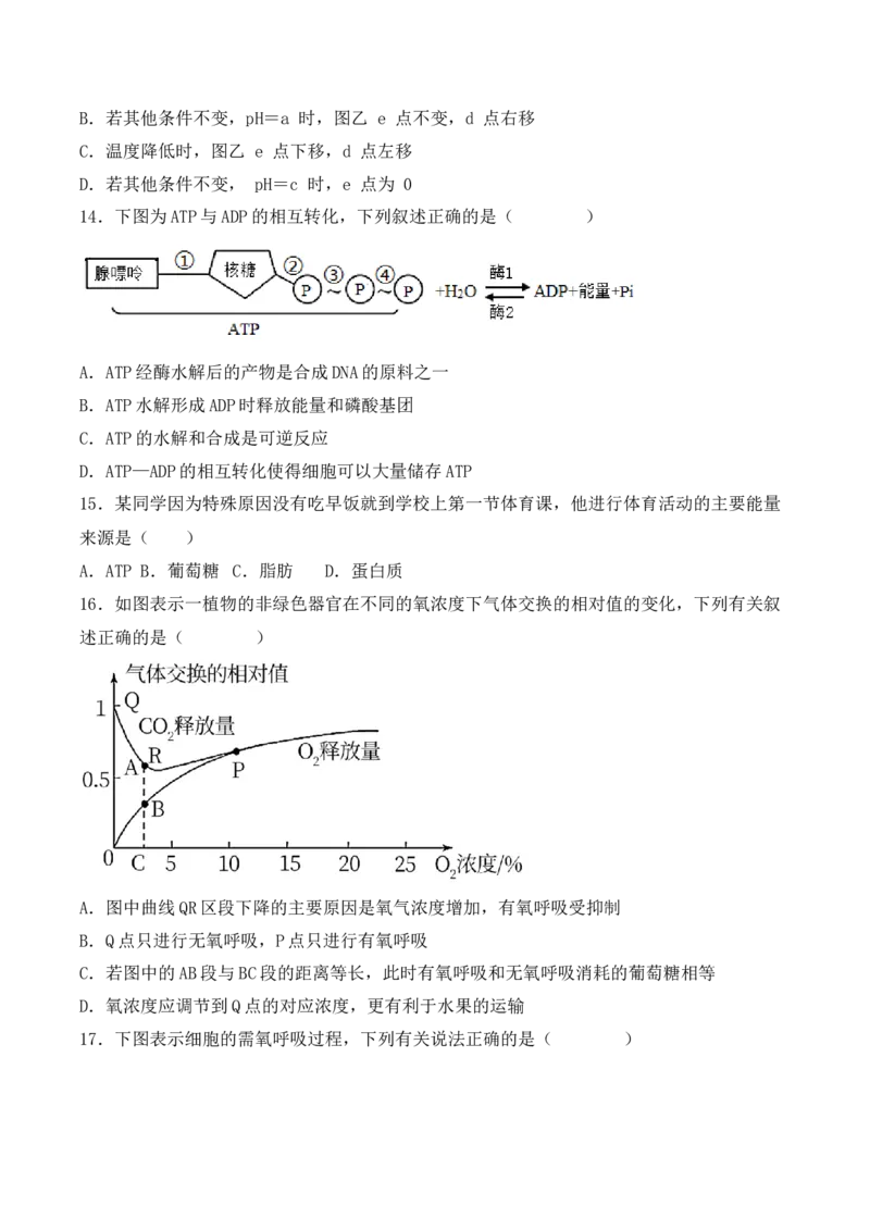 综合拉练卷04（原卷版）_高中九科知识点归纳。_人教版高中Word电子版试卷练习试题知识点全科_高中生物试卷习题_生物必修_必修1_人教版生物必修一期末试卷（038份）_1.模拟题