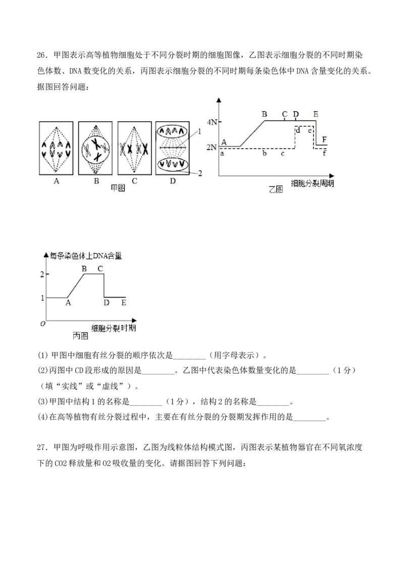 综合拉练卷04（原卷版）_高中九科知识点归纳。_人教版高中Word电子版试卷练习试题知识点全科_高中生物试卷习题_生物必修_必修1_人教版生物必修一期末试卷（038份）_1.模拟题