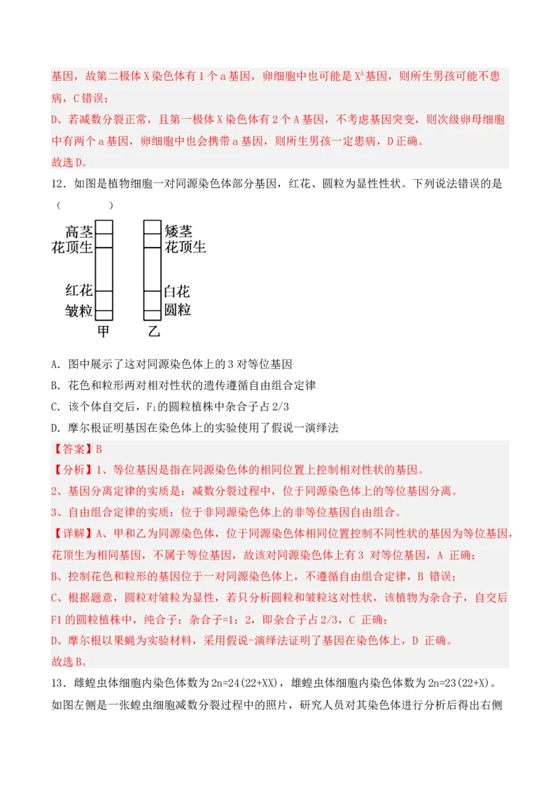 期中检测卷02（提升练）（考试范围：第1~3章）（解析版）_高中九科知识点归纳。_人教版高中Word电子版试卷练习试题知识点全科_高中生物试卷习题_生物必修_必修2