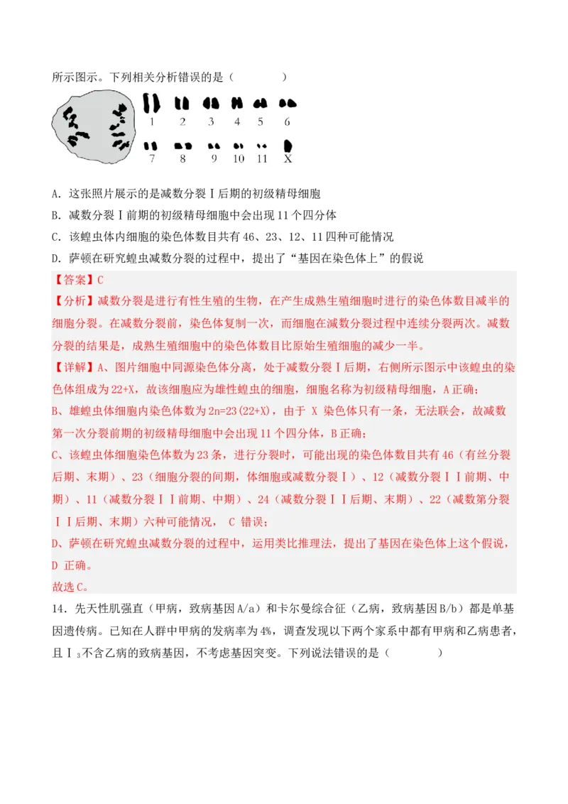 期中检测卷02（提升练）（考试范围：第1~3章）（解析版）_高中九科知识点归纳。_人教版高中Word电子版试卷练习试题知识点全科_高中生物试卷习题_生物必修_必修2