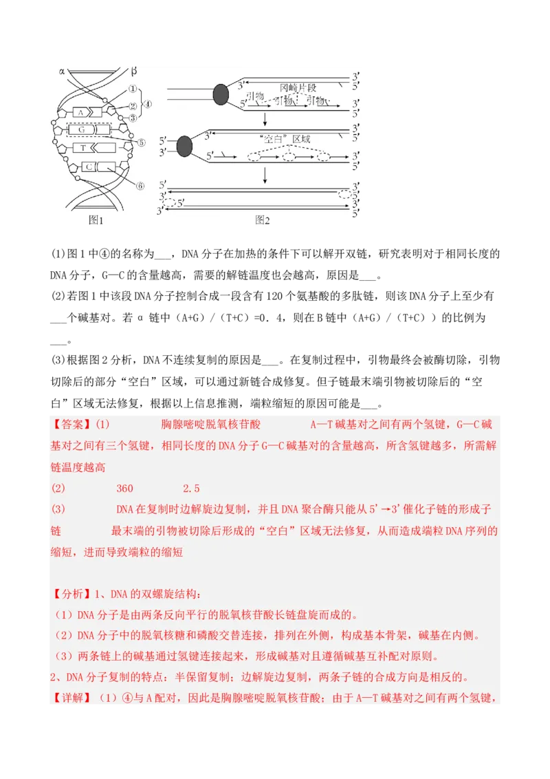 期中检测卷02（提升练）（考试范围：第1~3章）（解析版）_高中九科知识点归纳。_人教版高中Word电子版试卷练习试题知识点全科_高中生物试卷习题_生物必修_必修2