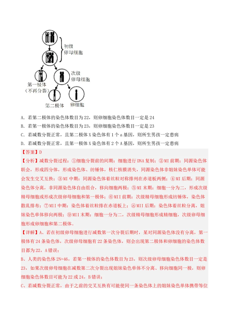 期中检测卷02（提升练）（考试范围：第1~3章）（解析版）_高中九科知识点归纳。_人教版高中Word电子版试卷练习试题知识点全科_高中生物试卷习题_生物必修_必修2