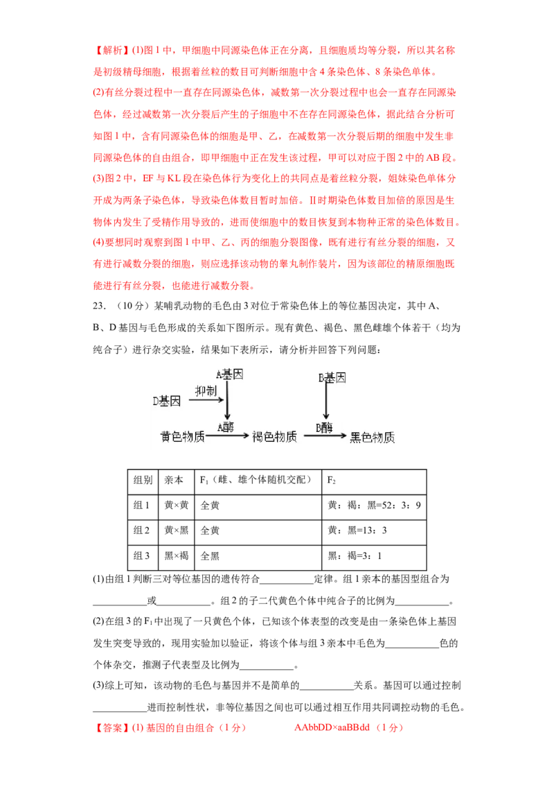 期末拔高卷3-冲刺期末高一生物下学期期末拔高冲刺卷（2019人教版）（解析版）_高中九科知识点归纳。_人教版高中Word电子版试卷练习试题知识点全科_高中生物试卷习题_生物必修