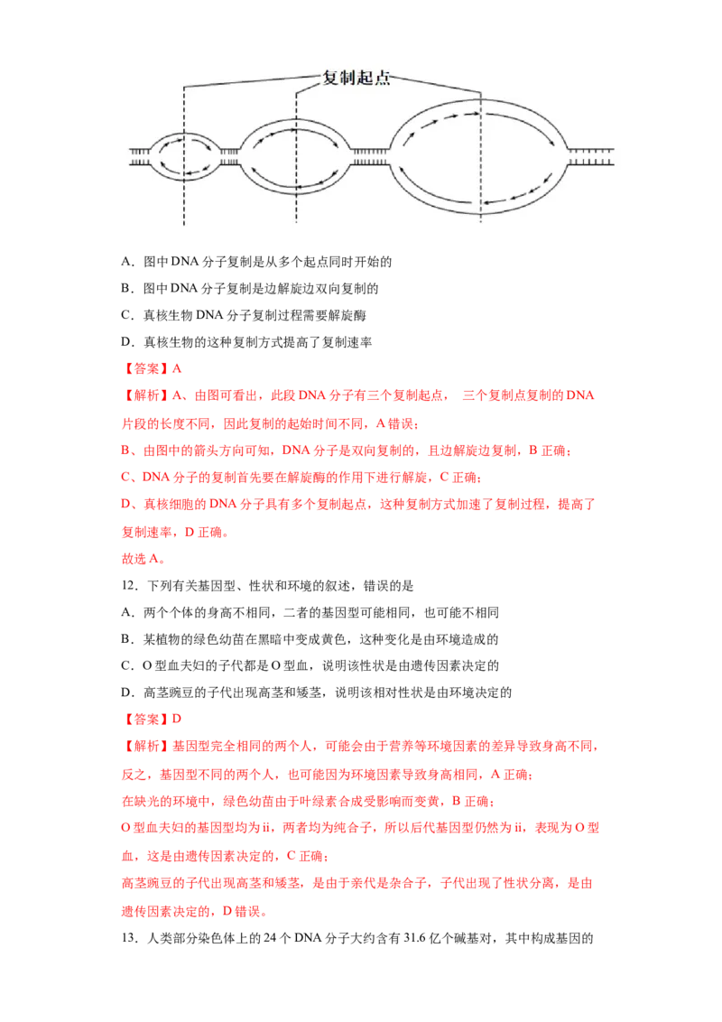 期末拔高卷3-冲刺期末高一生物下学期期末拔高冲刺卷（2019人教版）（解析版）_高中九科知识点归纳。_人教版高中Word电子版试卷练习试题知识点全科_高中生物试卷习题_生物必修