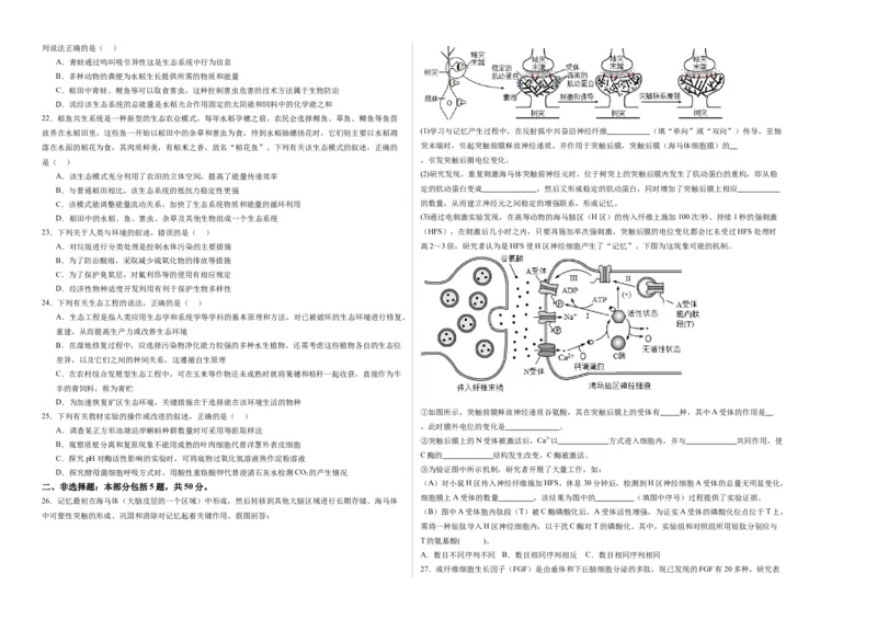 期末模拟卷02（考试版A3版）测试范围：人教版2019选择性必修1+选择性必修2_高中九科知识点归纳。_人教版高中Word电子版试卷练习试题知识点全科_高中生物试卷习题_生物选修_选修1