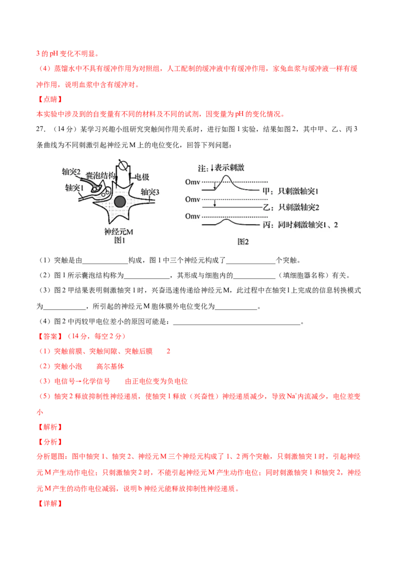 高二生物上学期期中测试卷02（人教版2019选择性必修1）（解析版）_高中九科知识点归纳。_人教版高中Word电子版试卷练习试题知识点全科_高中生物试卷习题_生物选修_选修1
