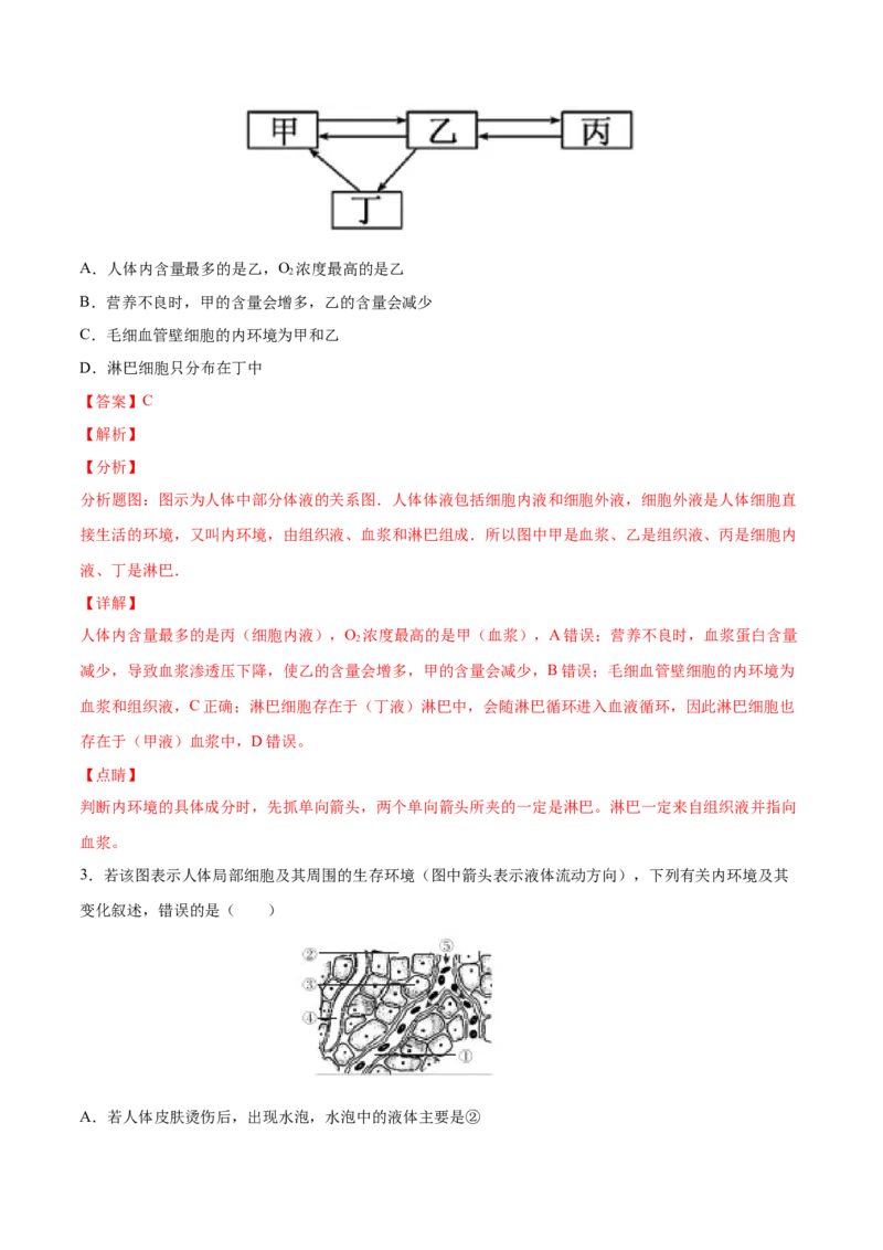 高二生物上学期期中测试卷02（人教版2019选择性必修1）（解析版）_高中九科知识点归纳。_人教版高中Word电子版试卷练习试题知识点全科_高中生物试卷习题_生物选修_选修1