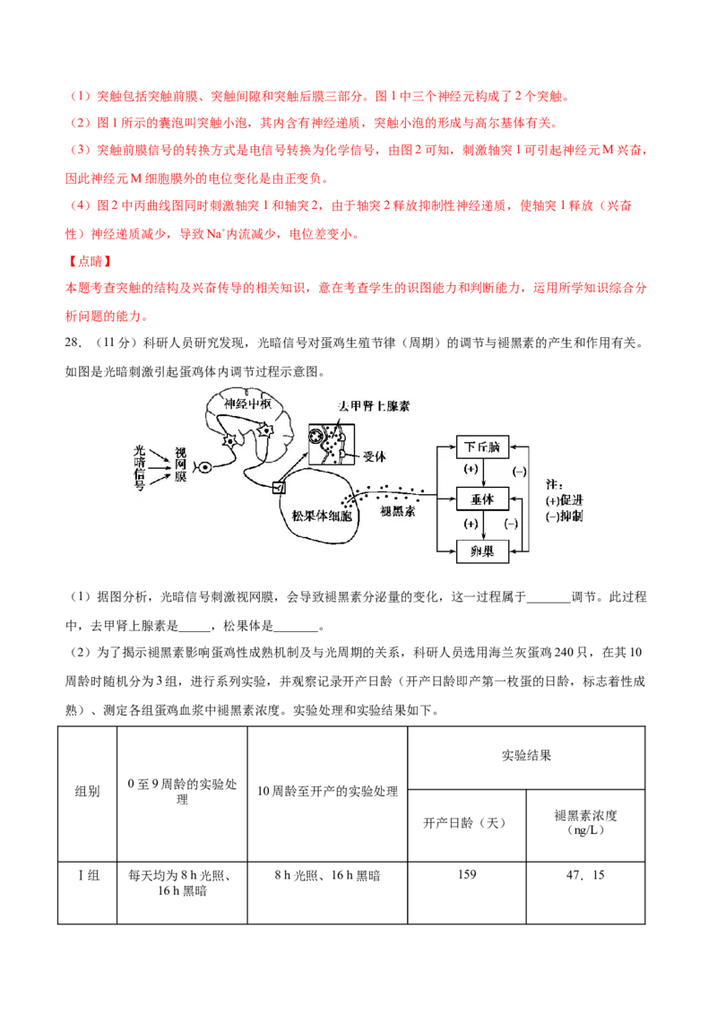 高二生物上学期期中测试卷02（人教版2019选择性必修1）（解析版）_高中九科知识点归纳。_人教版高中Word电子版试卷练习试题知识点全科_高中生物试卷习题_生物选修_选修1