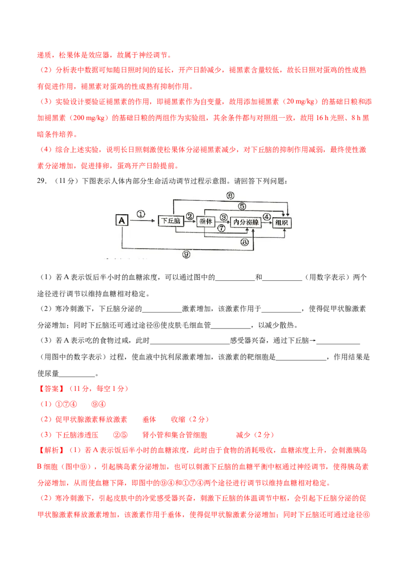 高二生物上学期期中测试卷02（人教版2019选择性必修1）（解析版）_高中九科知识点归纳。_人教版高中Word电子版试卷练习试题知识点全科_高中生物试卷习题_生物选修_选修1