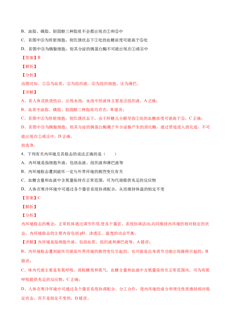 高二生物上学期期中测试卷02（人教版2019选择性必修1）（解析版）_高中九科知识点归纳。_人教版高中Word电子版试卷练习试题知识点全科_高中生物试卷习题_生物选修_选修1