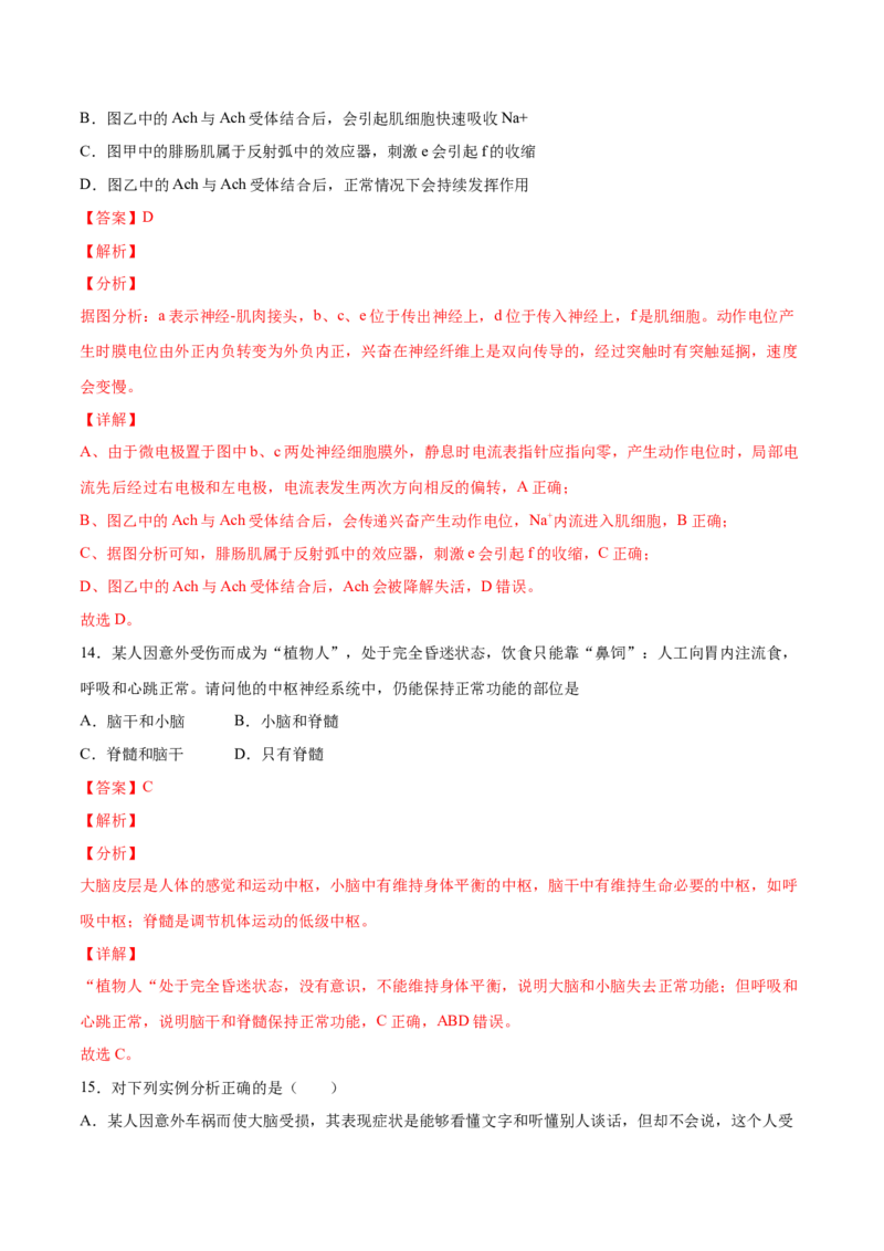 高二生物上学期期中测试卷02（人教版2019选择性必修1）（解析版）_高中九科知识点归纳。_人教版高中Word电子版试卷练习试题知识点全科_高中生物试卷习题_生物选修_选修1