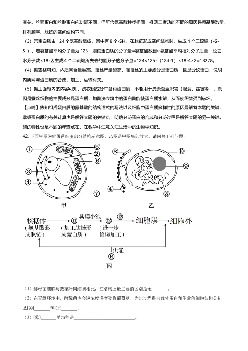 精品解析：黑龙江省鹤岗市一中高一上学期期末生物试题（解析版）_高中九科知识点归纳。_人教版高中Word电子版试卷练习试题知识点全科_高中生物试卷习题_生物必修_必修1_2.各地真题