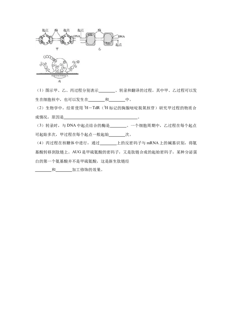 新教材精创4.1.2基因指导蛋白质的合成练习（1）（原卷版）_高中九科知识点归纳。_人教版高中Word电子版试卷练习试题知识点全科_高中生物试卷习题_生物必修_必修2_1、同步练习