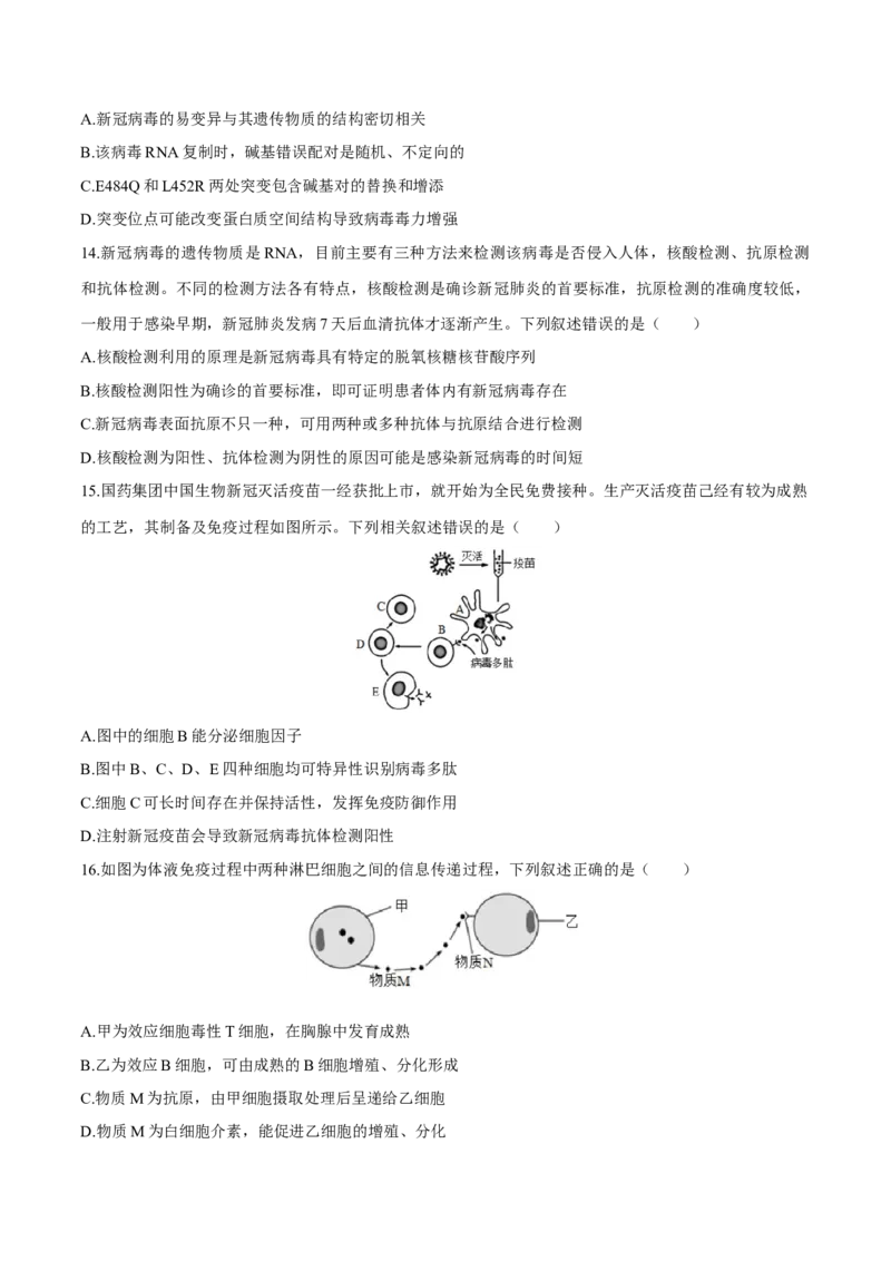 第4章免疫调节（测试卷）-高二生物章末检测卷（人教版2019选择性必修1）（原卷版）_高中九科知识点归纳。_人教版高中Word电子版试卷练习试题知识点全科_高中生物试卷习题_生物选修