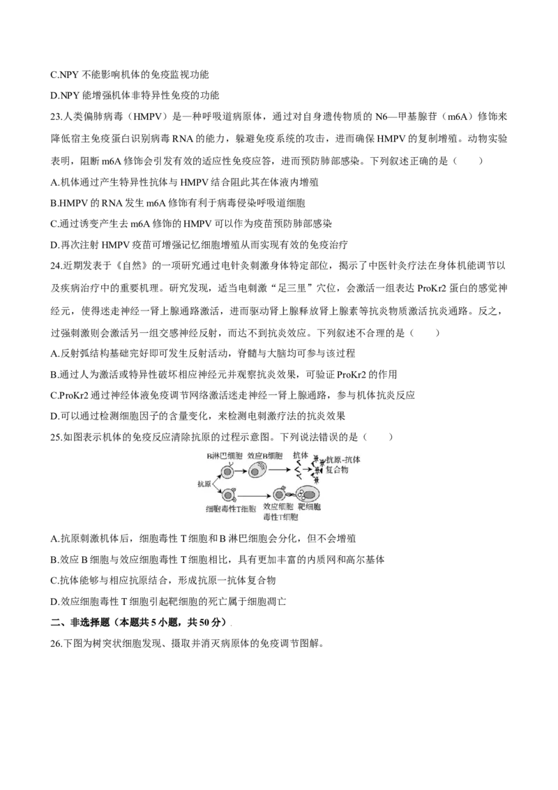 第4章免疫调节（测试卷）-高二生物章末检测卷（人教版2019选择性必修1）（原卷版）_高中九科知识点归纳。_人教版高中Word电子版试卷练习试题知识点全科_高中生物试卷习题_生物选修