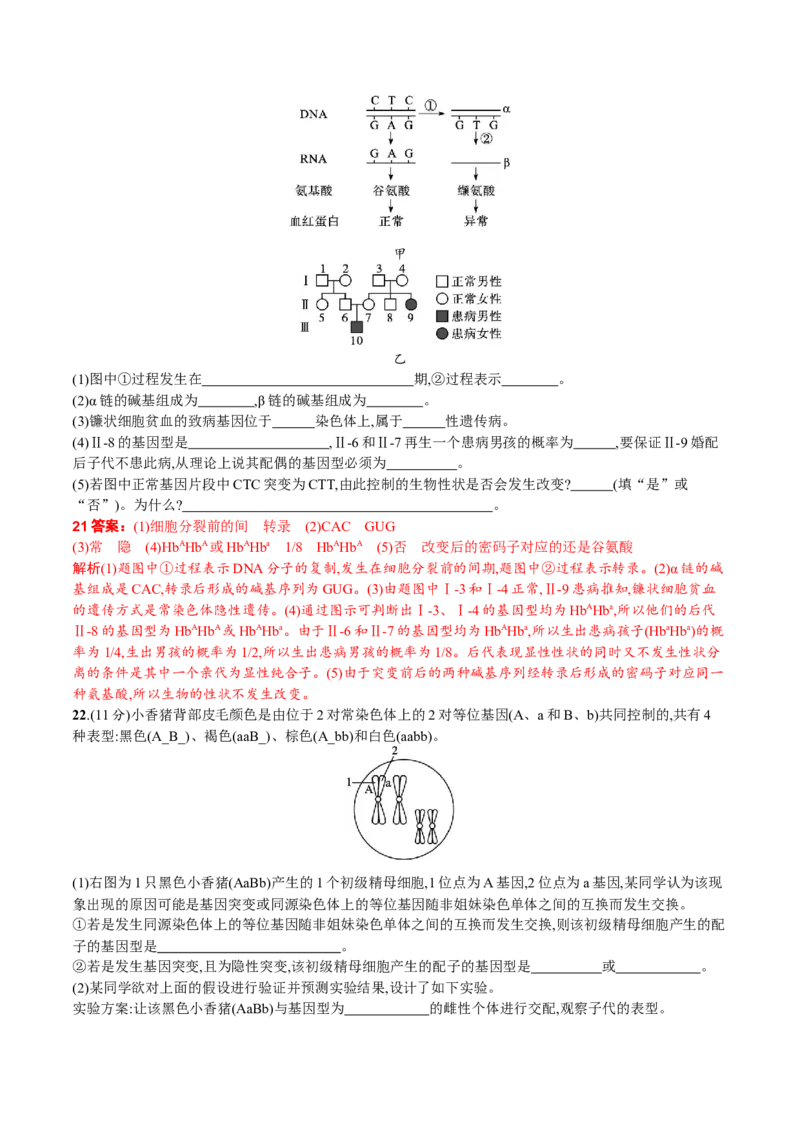 第5章基因突变及其他变异（解析版）_高中九科知识点归纳。_人教版高中Word电子版试卷练习试题知识点全科_高中生物试卷习题_生物必修_必修2_人教版生物必修二单元测试（012份）