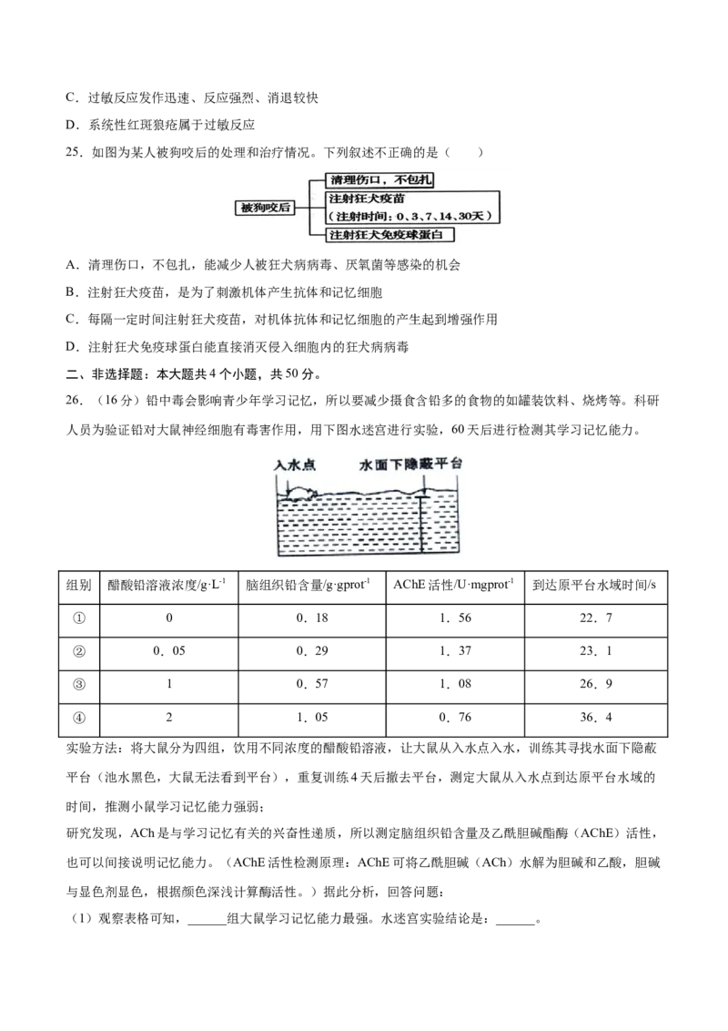 高二生物上学期期中测试卷03（人教版2019选择性必修1）（原卷版）_高中九科知识点归纳。_人教版高中Word电子版试卷练习试题知识点全科_高中生物试卷习题_生物选修_选修1