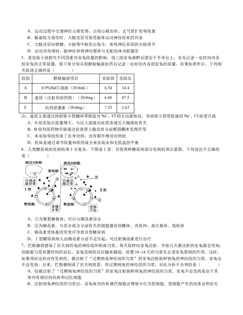 期末模拟卷02（考试版A4版）测试范围：人教版2019选择性必修1+选择性必修2_高中九科知识点归纳。_人教版高中Word电子版试卷练习试题知识点全科_高中生物试卷习题_生物选修_选修1