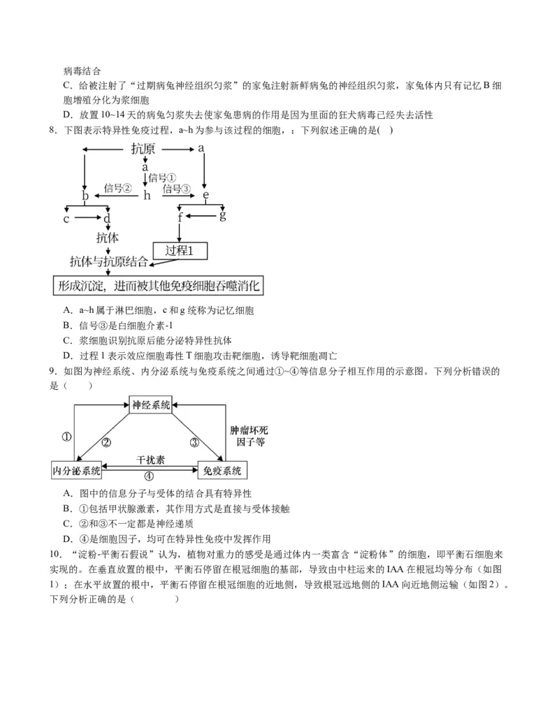 期末模拟卷02（考试版A4版）测试范围：人教版2019选择性必修1+选择性必修2_高中九科知识点归纳。_人教版高中Word电子版试卷练习试题知识点全科_高中生物试卷习题_生物选修_选修1
