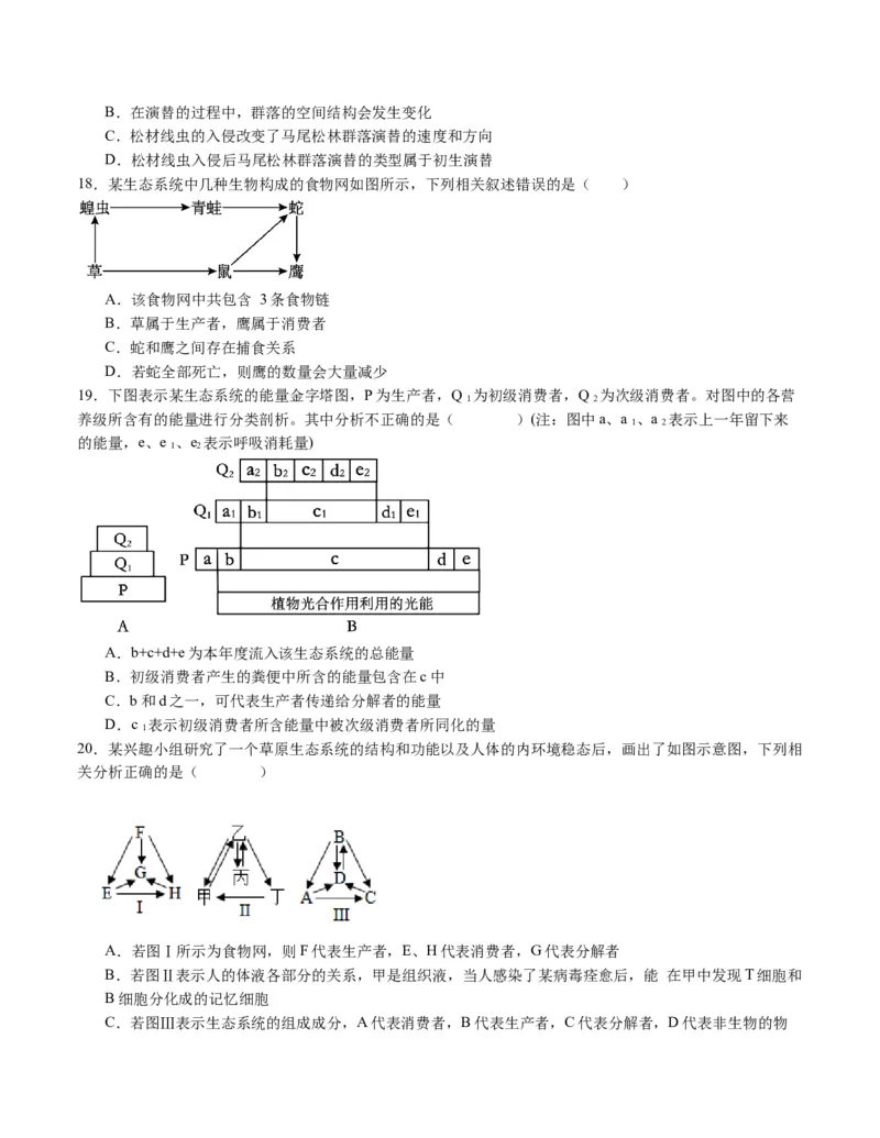 期末模拟卷02（考试版A4版）测试范围：人教版2019选择性必修1+选择性必修2_高中九科知识点归纳。_人教版高中Word电子版试卷练习试题知识点全科_高中生物试卷习题_生物选修_选修1