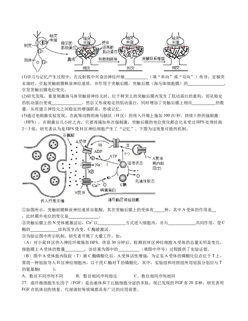 期末模拟卷02（考试版A4版）测试范围：人教版2019选择性必修1+选择性必修2_高中九科知识点归纳。_人教版高中Word电子版试卷练习试题知识点全科_高中生物试卷习题_生物选修_选修1