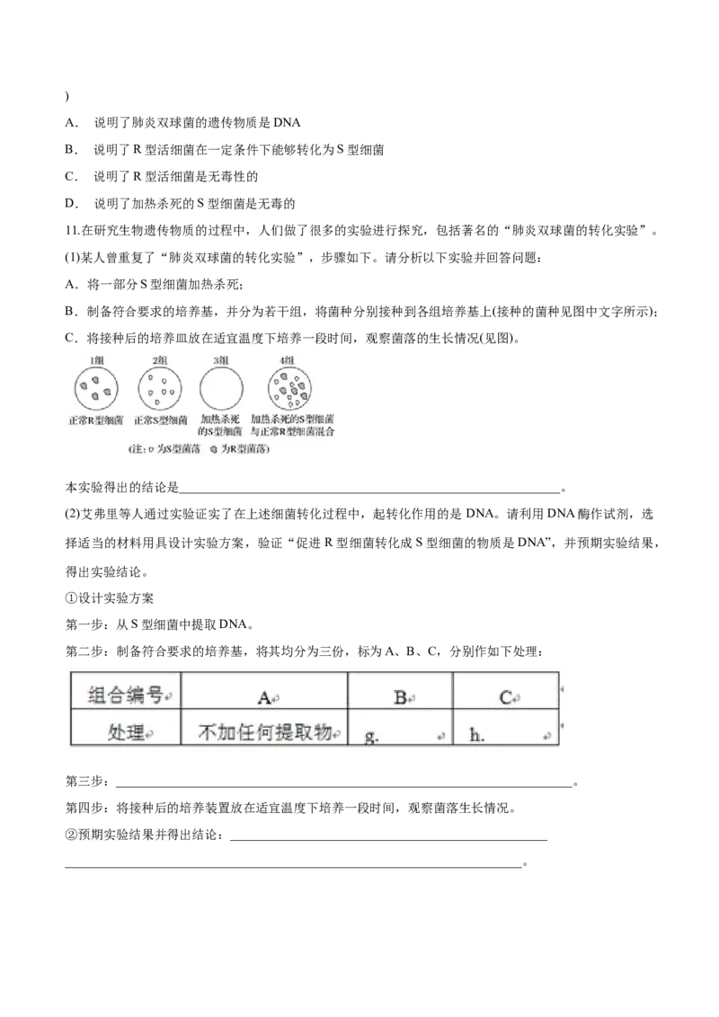 新教材3.11DNA是主要的遗传物质练习（1）（原卷版）_高中九科知识点归纳。_人教版高中Word电子版试卷练习试题知识点全科_高中生物试卷习题_生物必修_必修2_1、同步练习