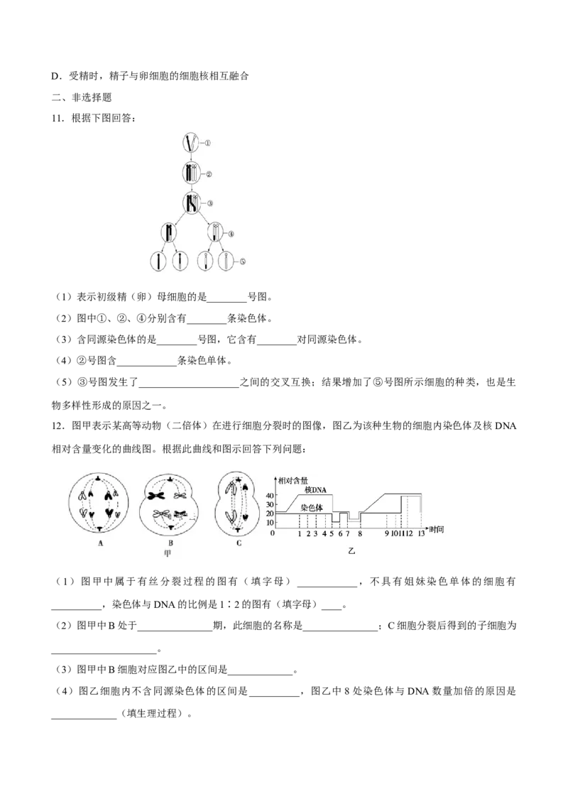 新教材2.12减数分裂和受精作用练习（2）（原卷版）_高中九科知识点归纳。_人教版高中Word电子版试卷练习试题知识点全科_高中生物试卷习题_生物必修_必修2_1、同步练习