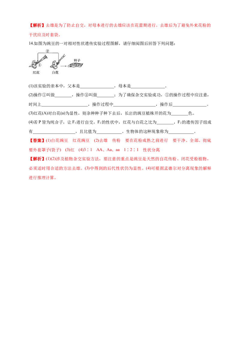 新教材精创1.1.1孟德尔的豌豆杂交实验（一）练习（1）（解析版）_高中九科知识点归纳。_人教版高中Word电子版试卷练习试题知识点全科_高中生物试卷习题_生物必修_必修2