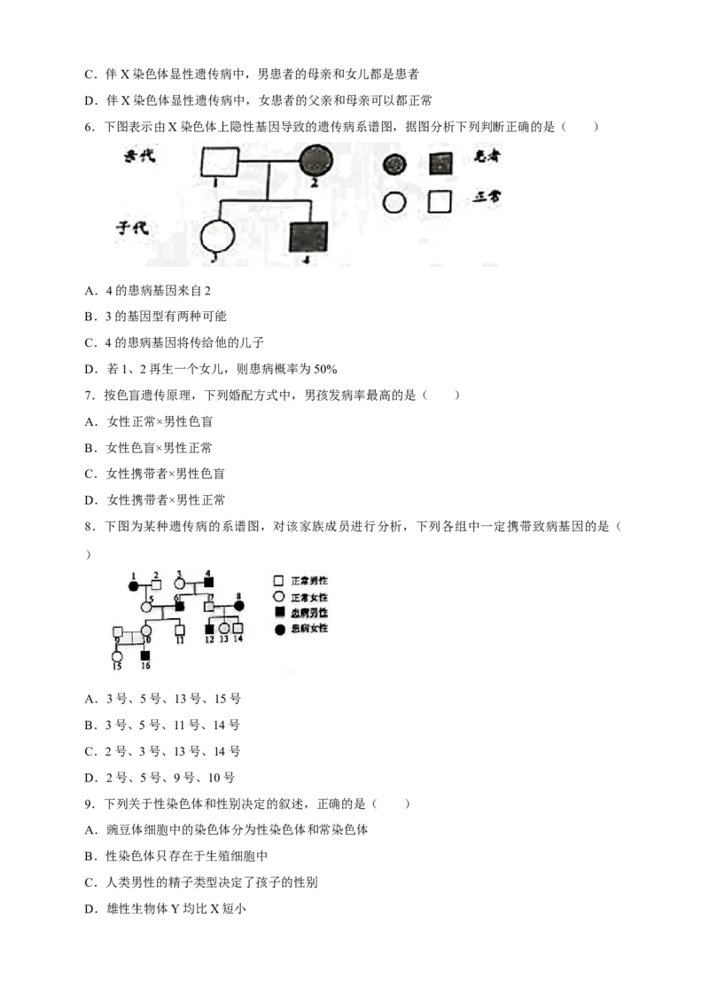 新教材精创2.3伴性遗传练习（2）（原卷版）_高中九科知识点归纳。_人教版高中Word电子版试卷练习试题知识点全科_高中生物试卷习题_生物必修_必修2_1、同步练习