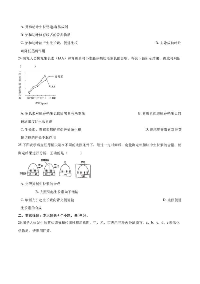 高二生物上学期期末测试卷05（人教版2019选择性必修1）（原卷版）_高中九科知识点归纳。_人教版高中Word电子版试卷练习试题知识点全科_高中生物试卷习题_生物选修_选修1