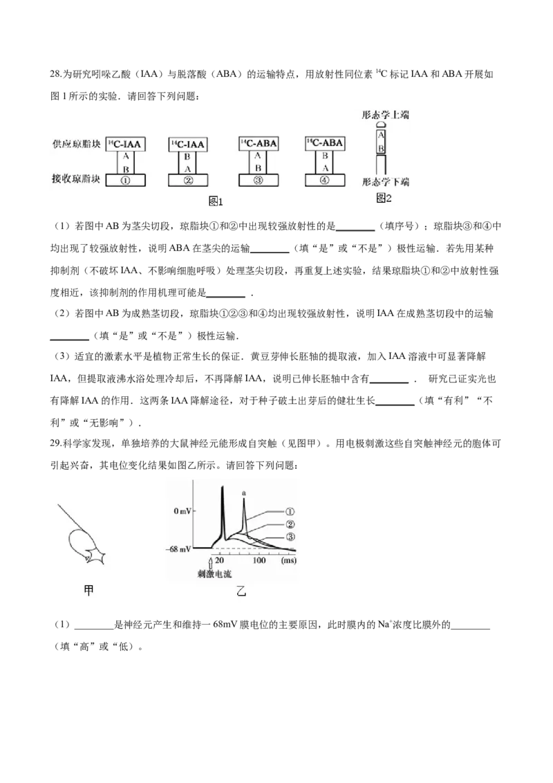 高二生物上学期期末测试卷05（人教版2019选择性必修1）（原卷版）_高中九科知识点归纳。_人教版高中Word电子版试卷练习试题知识点全科_高中生物试卷习题_生物选修_选修1