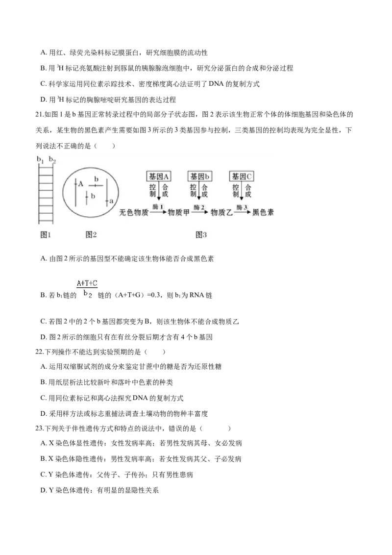 高一生物下学期期中测试卷03（人教版2019选择性必修2）（原卷版）_高中九科知识点归纳。_人教版高中Word电子版试卷练习试题知识点全科_高中生物试卷习题_生物必修_必修2