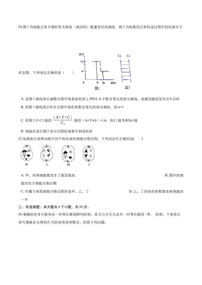 高一生物下学期期中测试卷03（人教版2019选择性必修2）（原卷版）_高中九科知识点归纳。_人教版高中Word电子版试卷练习试题知识点全科_高中生物试卷习题_生物必修_必修2