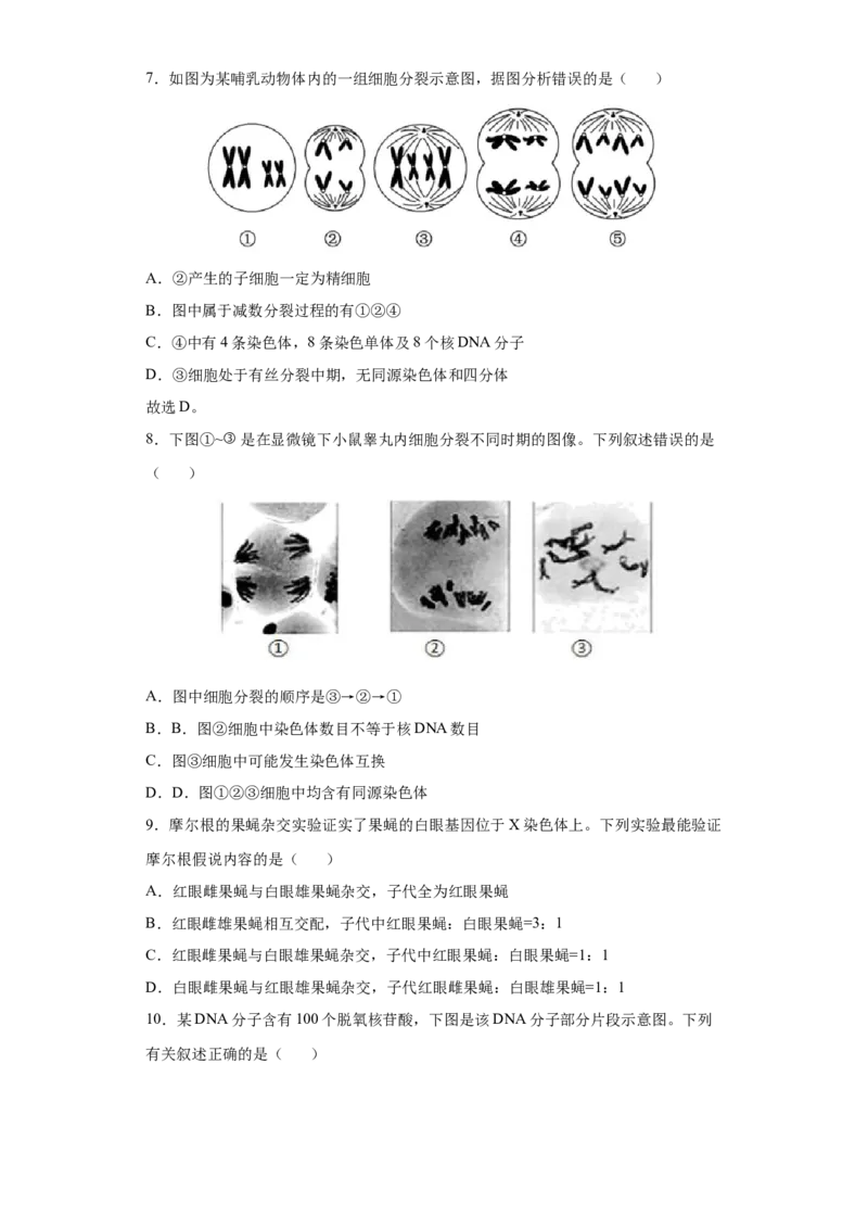 期末拔高卷5-冲刺期末高一生物下学期期末拔高冲刺卷（2019人教版）（原卷版）_高中九科知识点归纳。_人教版高中Word电子版试卷练习试题知识点全科_高中生物试卷习题_生物必修