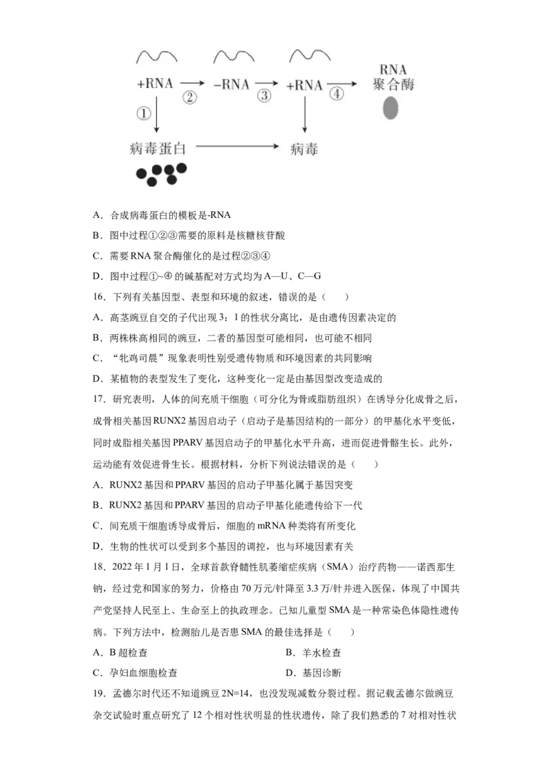 期末拔高卷5-冲刺期末高一生物下学期期末拔高冲刺卷（2019人教版）（原卷版）_高中九科知识点归纳。_人教版高中Word电子版试卷练习试题知识点全科_高中生物试卷习题_生物必修