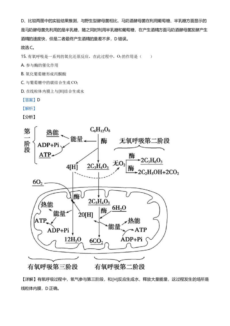 精品解析：北京丰台区高一上学期期末生物试题（解析版）_高中九科知识点归纳。_人教版高中Word电子版试卷练习试题知识点全科_高中生物试卷习题_生物必修_必修1_2.各地真题
