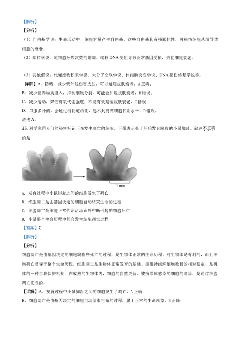 精品解析：北京丰台区高一上学期期末生物试题（解析版）_高中九科知识点归纳。_人教版高中Word电子版试卷练习试题知识点全科_高中生物试卷习题_生物必修_必修1_2.各地真题