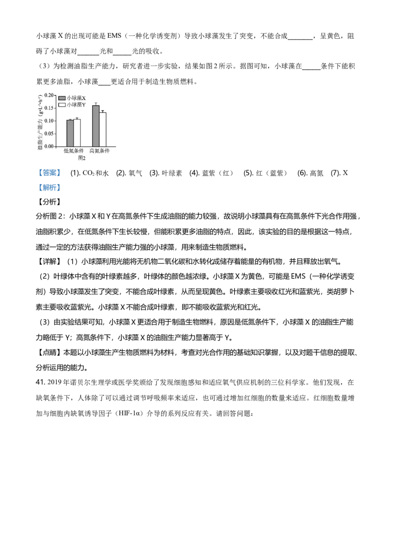 精品解析：北京丰台区高一上学期期末生物试题（解析版）_高中九科知识点归纳。_人教版高中Word电子版试卷练习试题知识点全科_高中生物试卷习题_生物必修_必修1_2.各地真题