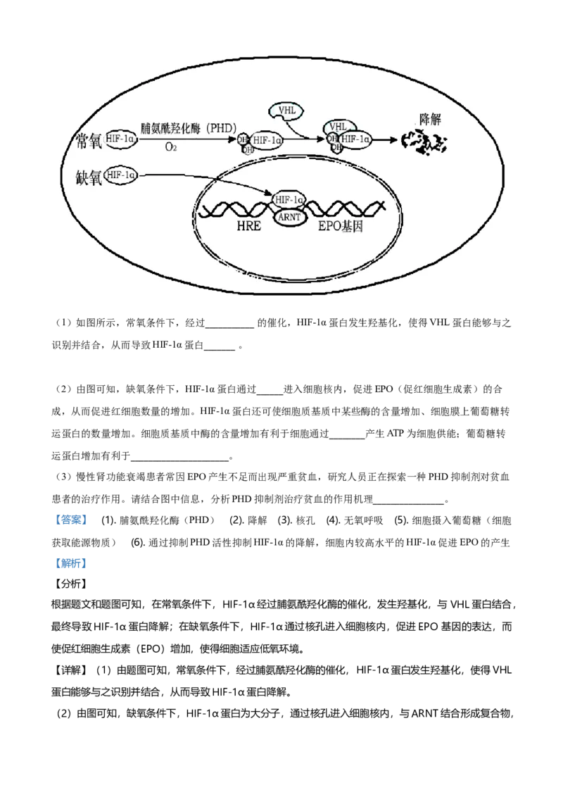 精品解析：北京丰台区高一上学期期末生物试题（解析版）_高中九科知识点归纳。_人教版高中Word电子版试卷练习试题知识点全科_高中生物试卷习题_生物必修_必修1_2.各地真题